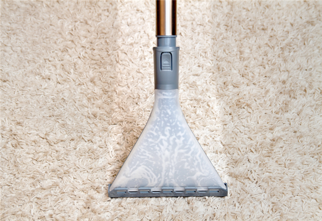 4 Steps to Make Carpet Last Longer in Rental Homes
