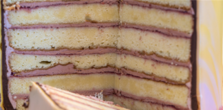 CDC Eviction Moratorium: More Layers to an Already Large Cake