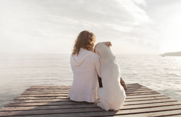 HUD Charges Apartments with Discrimination Against Tenants Who Need Emotional Support Animals