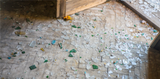 Do We Have Any Recourse With Property Management Company Over Tenant Damages?