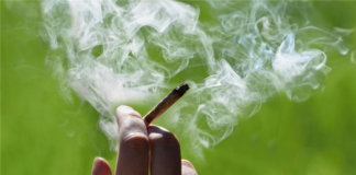 Tenant Smelling Marijuana in Apartment Hallway What Can We Do Landlord Hank