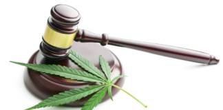 Legalized Marijuana and Its Impact on Your Rental Properties