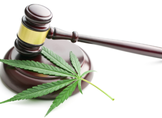 Legalized Marijuana and Its Impact on Your Rental Properties Legalized Marijuana and Its Impact on Your Rental Properties