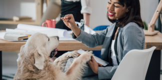 The Benefits of Being Pet-Friendly For Rental Property Owners