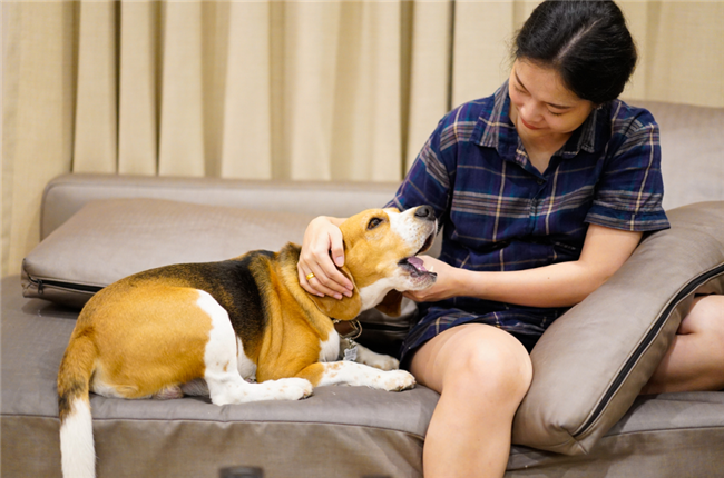 The Benefits of Being Pet-Friendly For Rental Property Owners