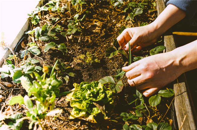 5 Ways to Increase Rental Housing Revenue or Rents in 2021