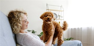 Property Manager Charging Pet Fee for Assistance Animal Leads to HUD Discrimination Charge