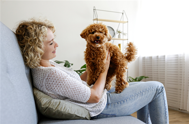 Property Manager Charging Pet Fee for Assistance Animal Leads to HUD Discrimination Charge