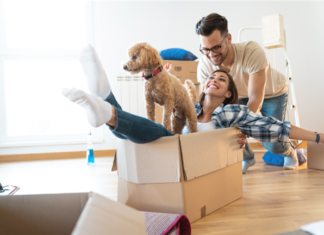 4 Ways to Balance the Needs of Pets and Residents in Multifamily Communities