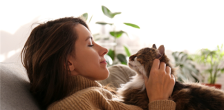 Can a Landlord Charge a Non-Refundable Pet Deposit for Support Animal?