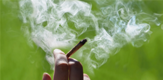 How Do I Prove A Tenant Is Smoking Marijuana In Violation of Lease?