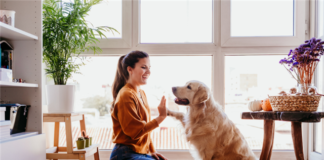 Property Managers, Take Note: Happy Pet Owners Mean Happy Long-Term Residents