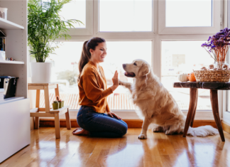 Property Managers, Take Note: Happy Pet Owners Mean Happy Long-Term Residents Property Managers, Take Note: Happy Pet Owners Mean Happy Long-Term Residents