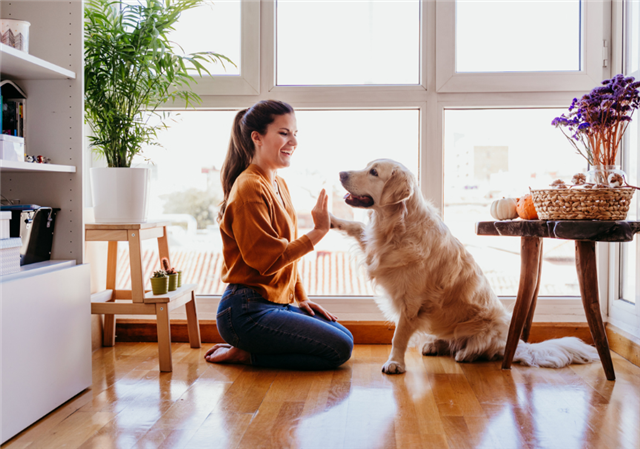 Property Managers, Take Note: Happy Pet Owners Mean Happy Long-Term Residents