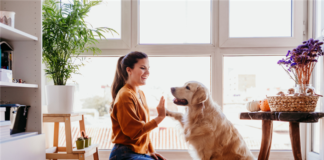 The New American Dream Is A Dog-Friendly Home