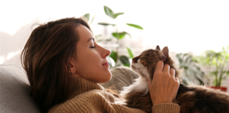 HUD Charges Apartments Over Denial of Assistance Animal