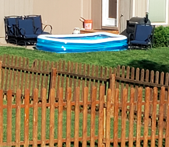 Ask Landlord Hank: What Should I Do If My Tenants Want A ‘Kiddie’ Pool at my rental