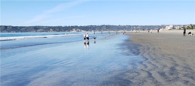 The Most Paw-Friendly Cities in America in 2021