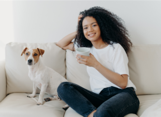 Concerned About Pets At Your Rental Communities? Don’t Be Concerned About Pets At Your Rental Communities? Don’t Be Rental Housing Pets