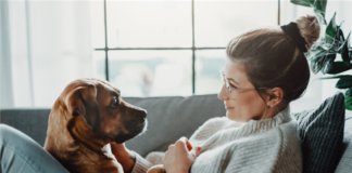 Ask Brad: Tenants Want to Know Why There’s a Dog in No-Pet Building?