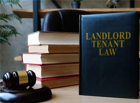 Layers of Laws: Don’t Forget about Local Rules in the Landlord/Tenant Relationship