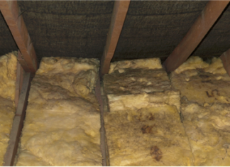 4 Steps To Prevent Mold In Your Rental Property Attic