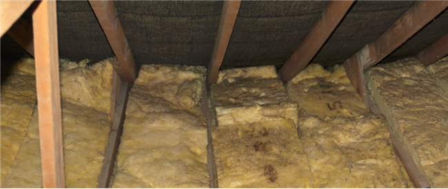 4 Steps To Prevent Mold In Your Rental Property Attic
