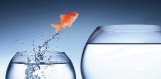 Financing The Niche with RE Preferred Equity