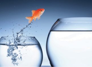 Financing The Niche with RE Preferred Equity