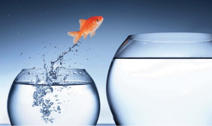 Financing The Niche with RE Preferred Equity