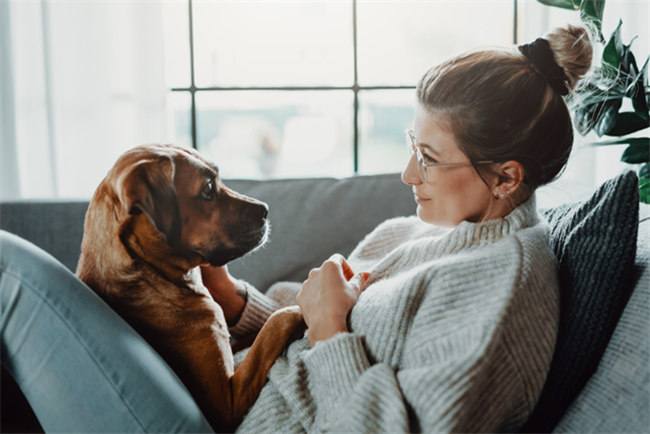 pet friendly apartments and apartment community for pets