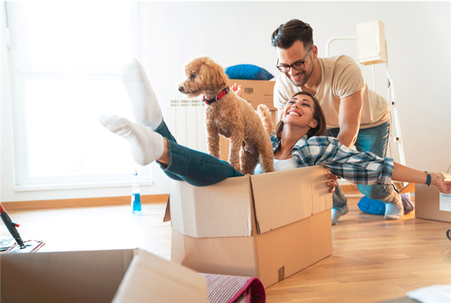Welcoming Pets Is a Smart Financial Move In Rental Housing
