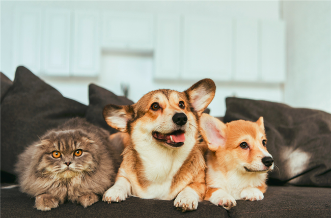 If residents are staying longer, that’s fewer units for the leasing team to fill, which means reduced marketing and turn costs