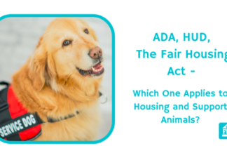 ADA, HUD, the Fair Housing Act: Which One Applies to Housing and Support Animals and service animal