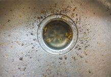 A tenant poured grease down the kitchen sink so who is responsible for the plumbing repair is the question this week for Ask Landlord Hank.