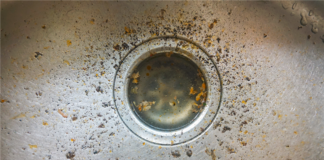 A tenant poured grease down the kitchen sink so who is responsible for the plumbing repair is the question this week for Ask Landlord Hank.