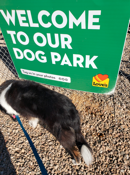dog parks and waste stations can help along with lifting pet and breed restrictions and welcoming more pets can lead to higher tenant retention rates, an increase in pet-related revenue and building stronger communities.
