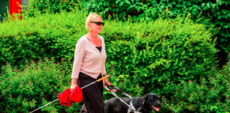 HUD Charges HOA With Discrimination Over Assistance Animal Rules