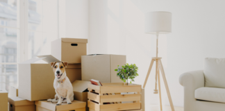 Can emotional support animal (ESA) fraud in the rental housing industry be reduced by modernizing pet policies?