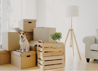 Can emotional support animal (ESA) fraud in the rental housing industry be reduced by modernizing pet policies?