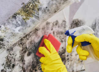 4 Steps To Fight Mold and Mildew In Rentals