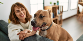 Residents say pet-friendly rentals are hard to find so here are some ideas on how to help during leasing season to attract pet lovers