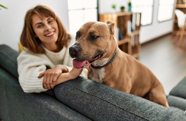 5-22-23 pet friendly rentals Residents say pet-friendly rentals are hard to find so here are some ideas on how to help during leasing season to attract pet lovers