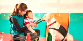 HUD has charged a landlord with discrimination over refusing a reasonable accommodation for a tenant with an assistance animal