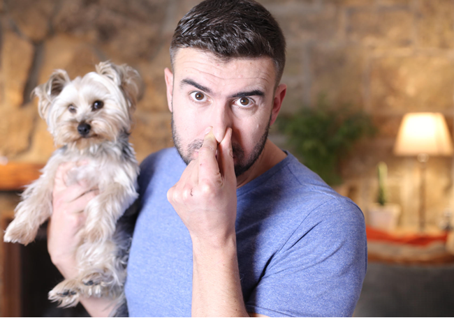 When it comes time to perform a move-out inspection, it’s critical to engage your four senses, especially smells, to ensure that you don’t miss something that could end up costing you thousands down the line.