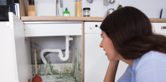 Here are 6 ways to both prevent mold and mildew and how to clean it if you find mold and mildew in your rental.