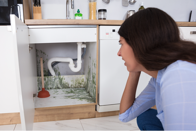 Here are 6 ways to both prevent mold and mildew and how to clean it if you find mold and mildew in your rental.