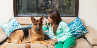 Arizona lawmakers have advanced Senate Bill 1439, which would bar landlords from dog breed discrimination against dogs such as pit bulls and German Shepherds pictured here