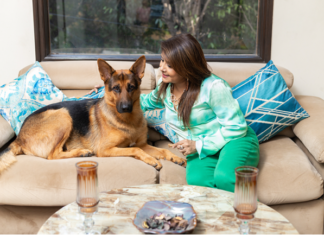 Arizona Bill Seeks to Stop Landlord Dog Breed Discrimination Arizona lawmakers have advanced Senate Bill 1439, which would bar landlords from dog breed discrimination against dogs such as pit bulls and German Shepherds pictured here