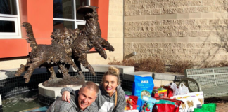 have you ever evicted a dog and do landlords know the facts about emotional support animals and service animals